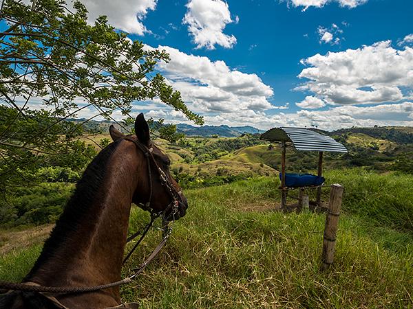 Cabalgatas El Carmelo