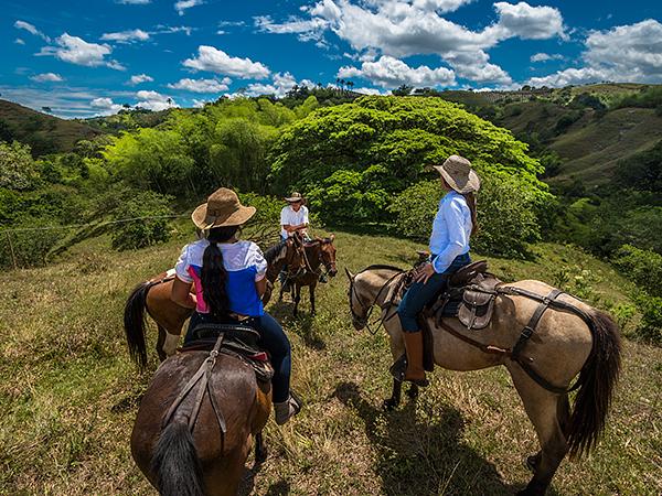 Cabalgatas El Carmelo