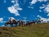 Cabalgatas El Carmelo