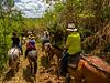 Cabalgatas El Carmelo