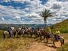 Cabalgatas El Carmelo