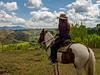 Cabalgatas El Carmelo