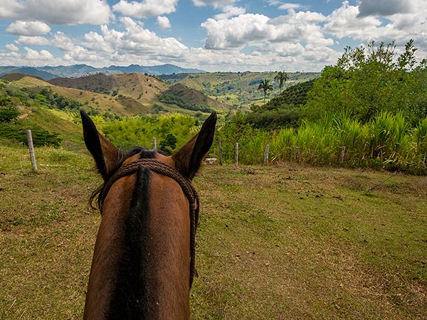 Cabalgatas El Carmelo