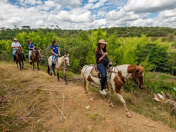 Cabalgatas El Carmelo