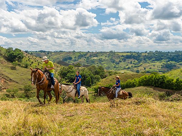 Cabalgatas El Carmelo