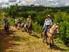 Cabalgatas El Carmelo